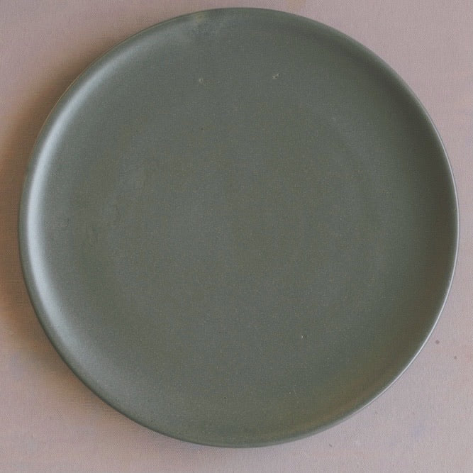 Horizon Lunch Plate